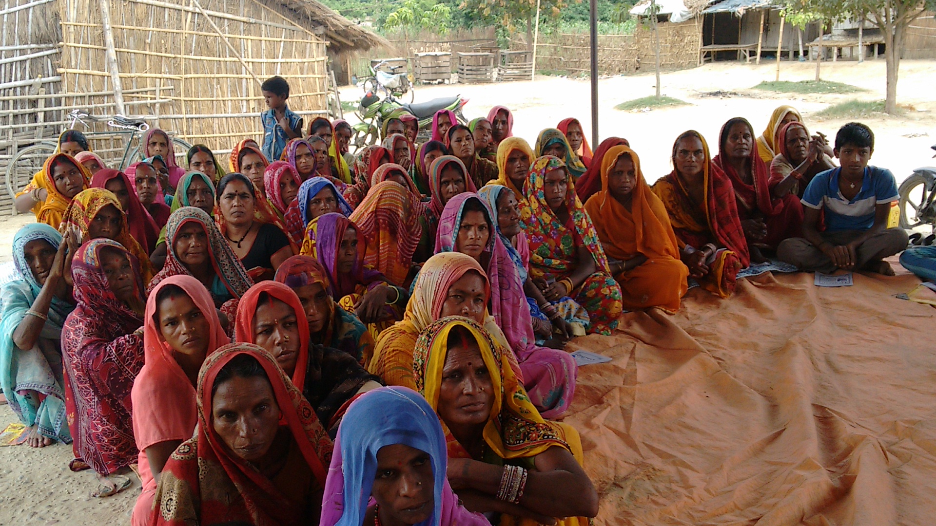 Stop Violence Program